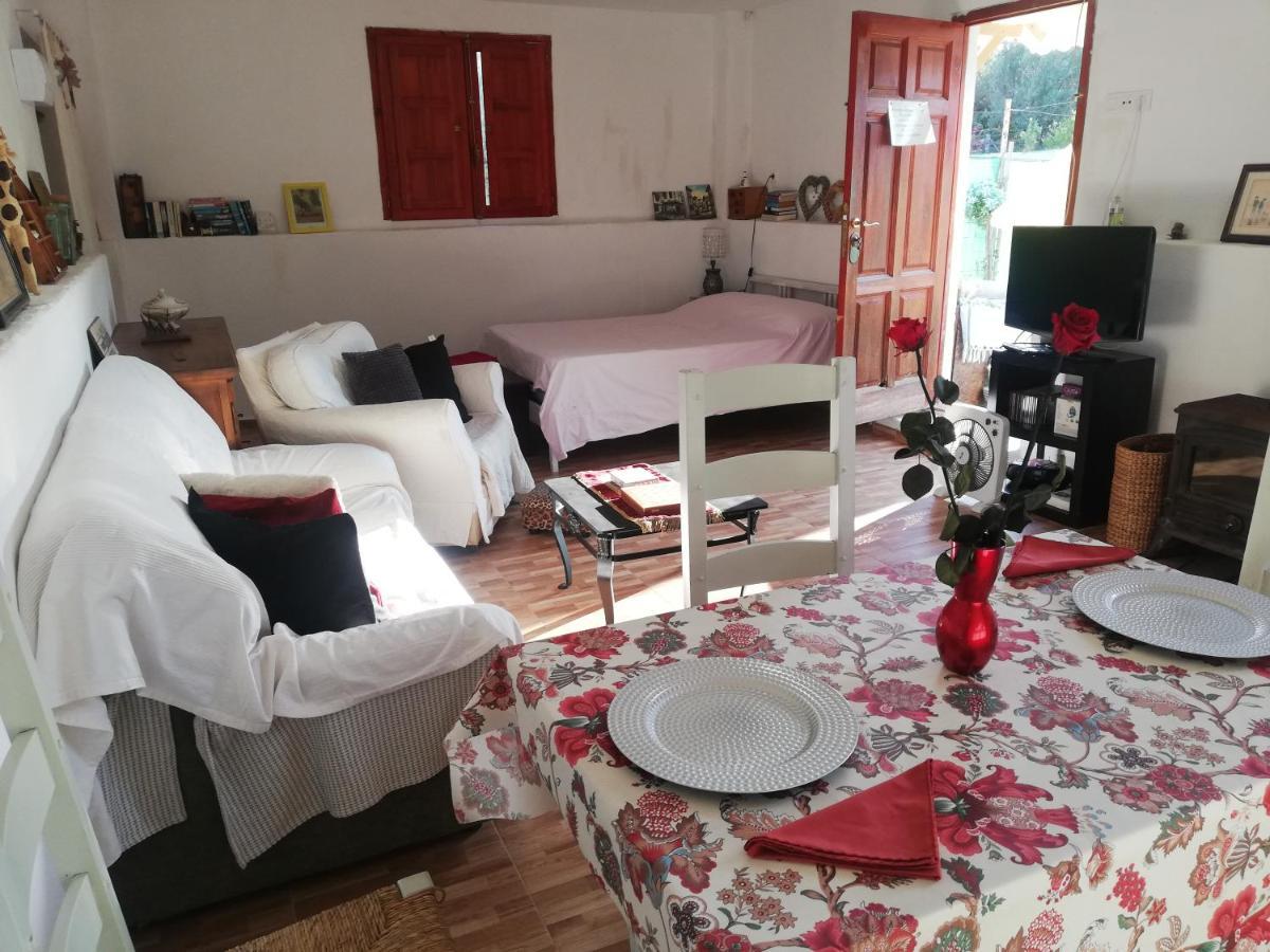 Country Side Loft Apartment บาเลนเซีย ภายนอก รูปภาพ